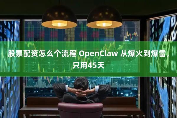 股票配资怎么个流程 OpenClaw 从爆火到爆雷，只用45天